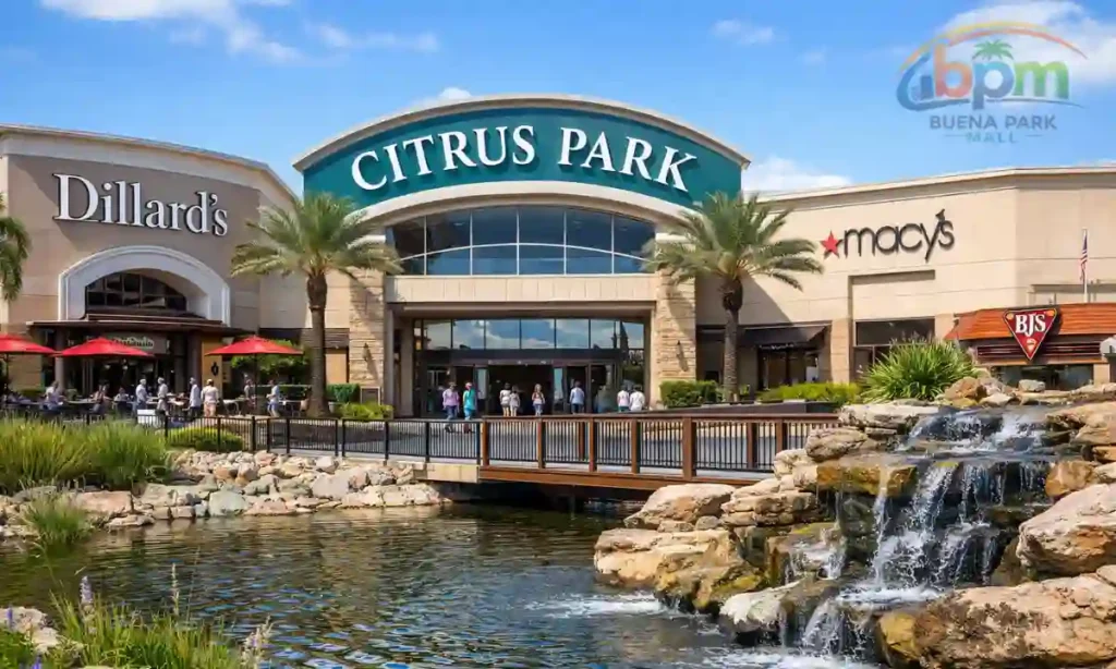 citrus park mall